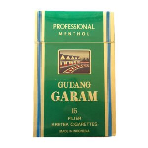 Gudang Garam Professional Menthol 16